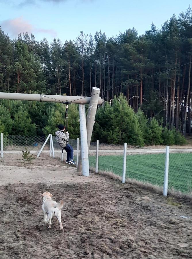 Domek Do Wynajecia - Siedlisko Przy Lesie Rzasnik エクステリア 写真